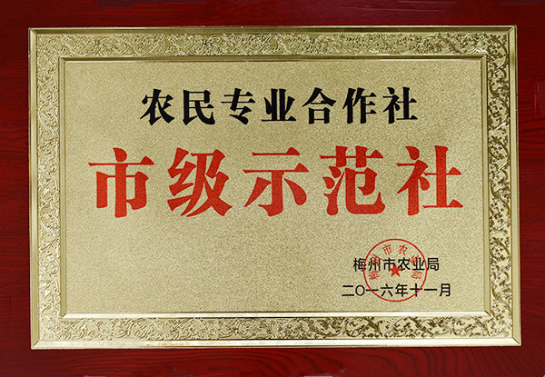 農民專業合作社市級示范社